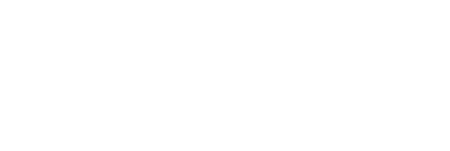wisemudra